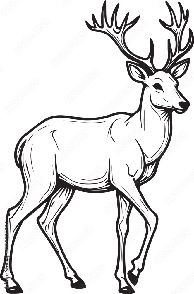 Obraz premium deer silhouette vector