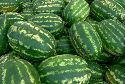 Fresh watermelons at the fruit and vegetable market