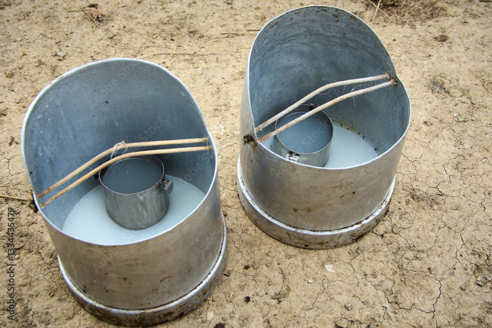 Traditional bucket with milk from the sheepfold in Romania