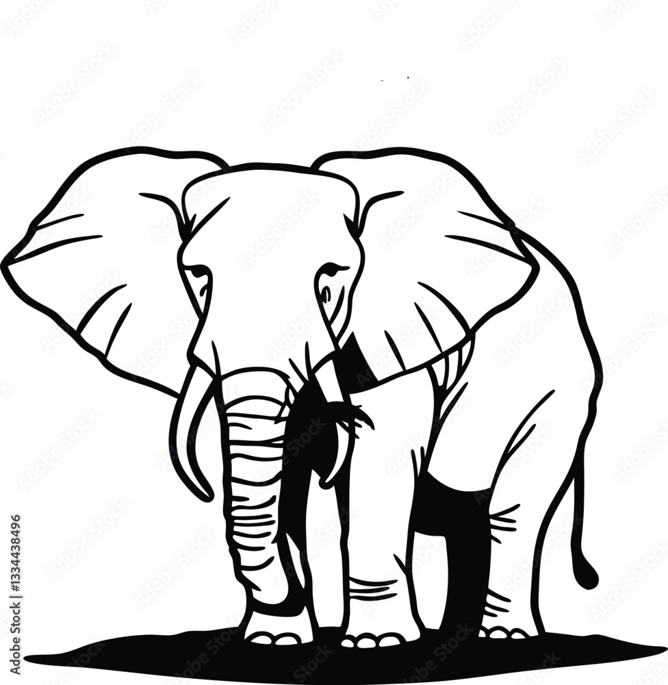 elephant elephant