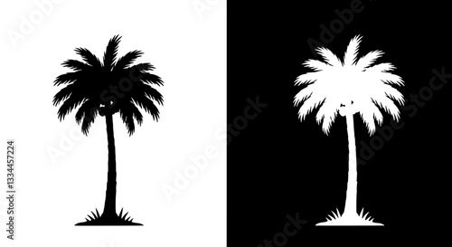 Palm Tree Silhouette: A stunning artistic display of a palm tree silhouette against contrasting backgrounds, inviting viewers to embrace the beauty of nature and design.