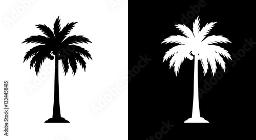Palm Trees in Silhouette: A striking image of palm trees presented in contrasting black and white, highlighting the intricate silhouette and evoking a sense of tropical ambiance.