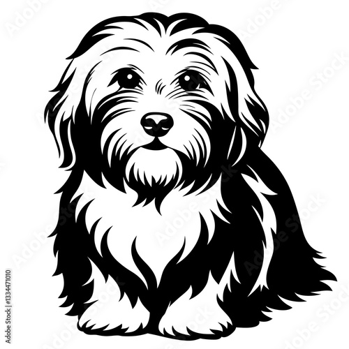 a cute havanese dog illustration in black and white. The dog is sitting with an adorable expression and fluffy fur