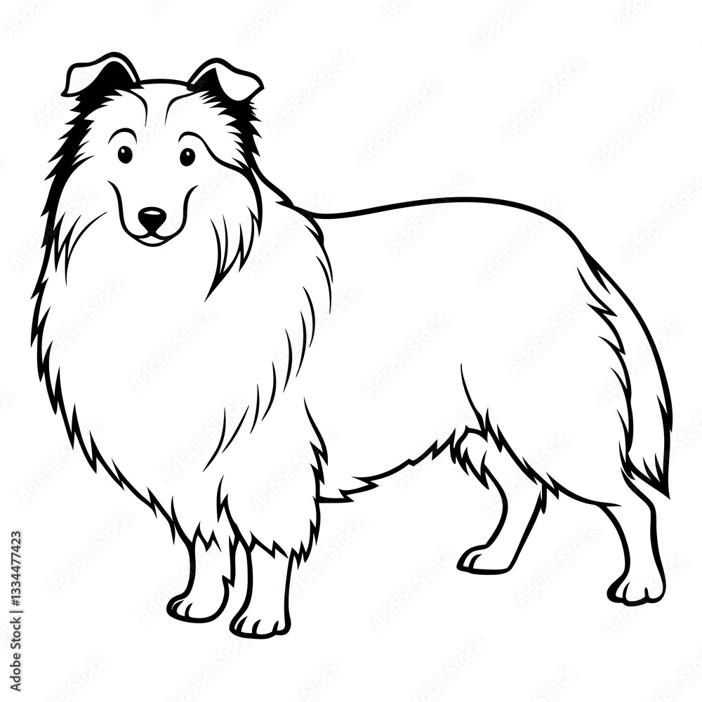 Fototapeta premium a collie dog illustration in black and white