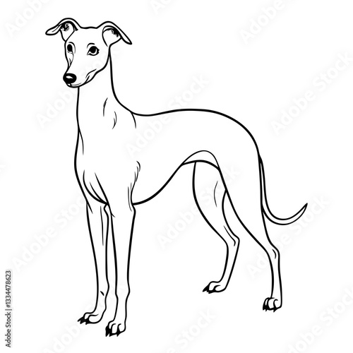 a graceful illustration of a greyhound dog, drawn in black and white, with a sleek and elegant appearance. The dog is standing in a poised posture.