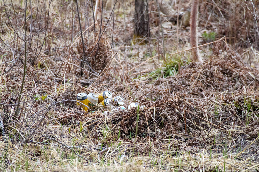 discarded metal cans lying in the forest among dry branches and grass.
discarded metal cans lying in the forest among dry branches and grass.