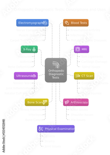 Orthopedist test and diagnosis, infographics