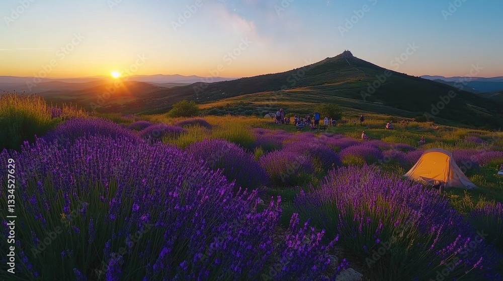 Scenic Sunset Over a Lavender Meadow with a Distant Camp A peaceful lavender field bathed in warm evening light, a group of people gathered near tents, with a rolling mountain range in the distance. Scenic Sunset Over a Lavender Meadow with a Distant Camp A peaceful lavender field bathed in warm evening light, a group of people gathered near tents, with a rolling mountain range in the distance.