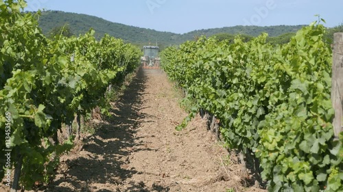 Farmer cultivating grapeyard in south French country