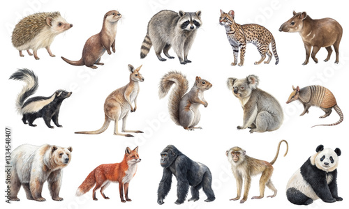 Watercolor Collection of Wild Mammals from Around the World
