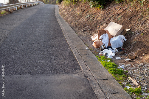 ゴミの路上不法投棄