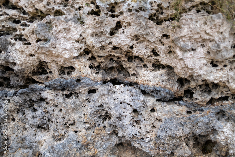 Fototapeta premium 侵食された沖縄の海岸の岩