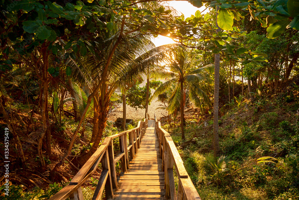Wooden stairs leading to the beach through tropical trees in Phuket, Thailand. Famous tourist destination in Phuket, Thailand. Nai Thon Beach is one of the picturesque beaches of Phuket.