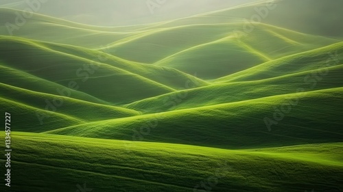 Serene Rolling Green Hills Under Soft Sunlight