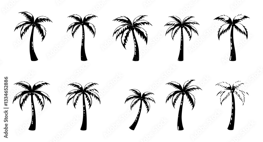 Fototapeta premium set of palm trees vector icon