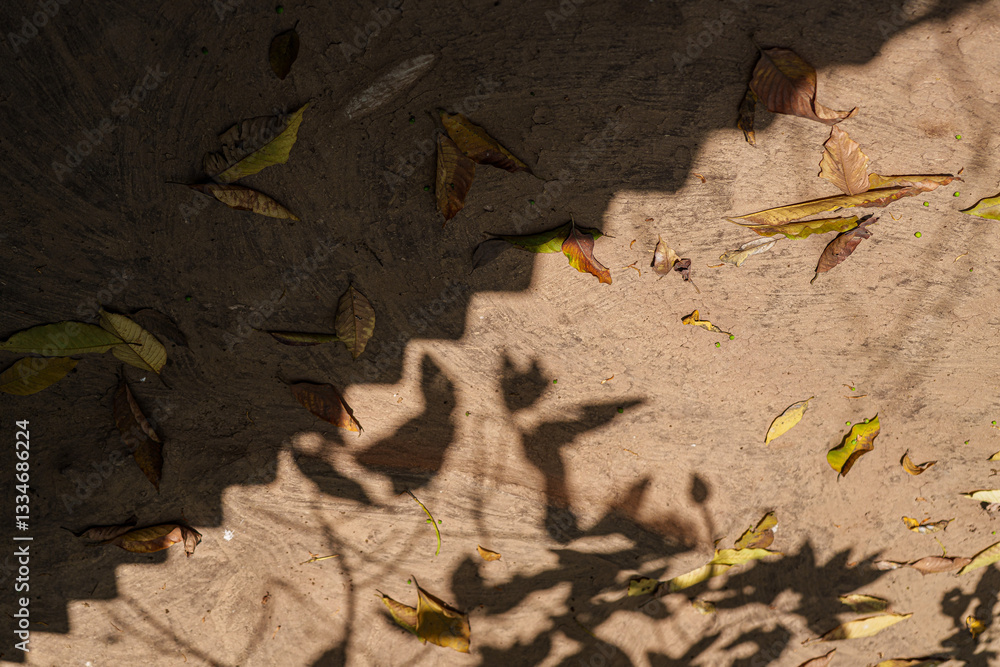 A textured earthen floor with wave-like shadow patterns, dry leaves, and tree shadows creating a rustic, natural aesthetic.