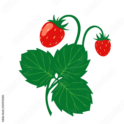 postcard with strawberries, isolated element