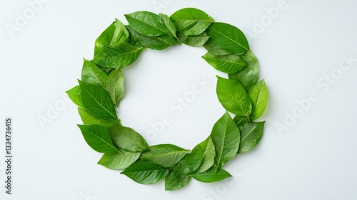 Euro currency symbol crafted from fresh leaves, representing the European Union's dedication to environmental sustainability and the promotion of eco-friendly economic growth.