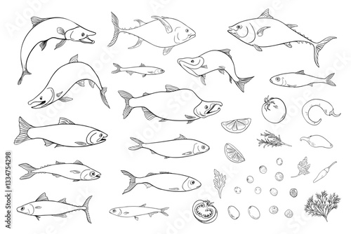 Variety sea fish set sardine, anchovy monochrome vector illustration hand drawn. Herring, flounder, mackerel black white drawing. Fishes and herbs, vegetables clipart graphic linear style for prints.
