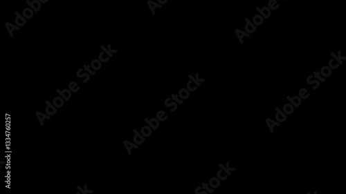 confetti explosion animation on black background. reflecting multiple colors motion. Confetti Blast video footage.