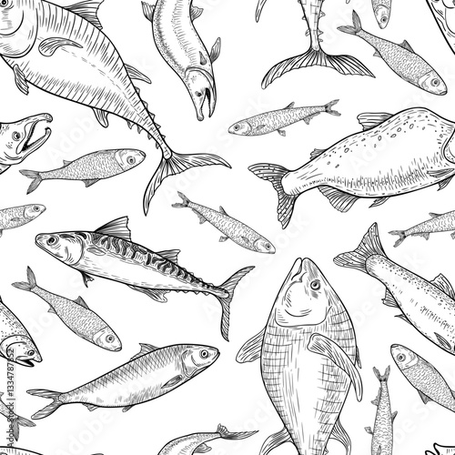 Sardine, anchovy monochrome vector seamless pattern hand drawn. Herring, flounder black white drawing. Fishes tuna, salmon, mackerel engraving texture. Various sea fish on repeat background line art.
