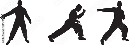 Kungfu silhouettes set fighter pack of vector