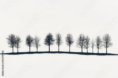 Silhouetted winter trees stand in a row against a white sky