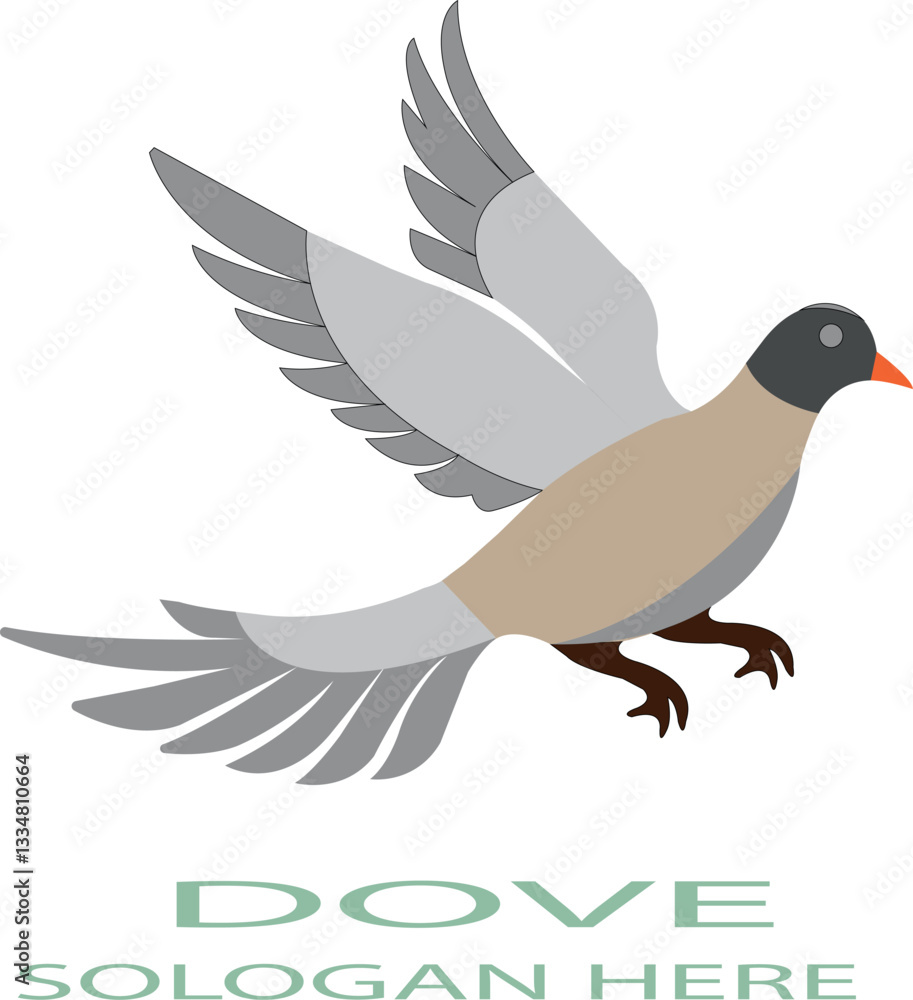 Fototapeta premium Dove logo icon vector .