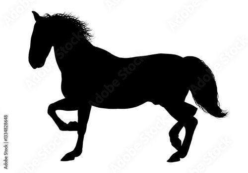 silhouette of a horse - vector illustration