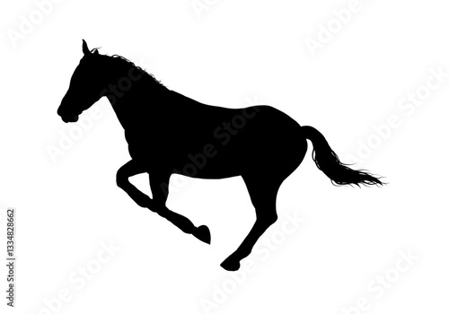 silhouette of a horse - vector illustration