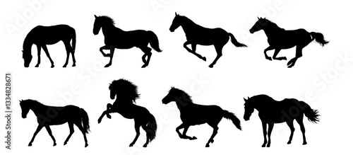 Set of horse silhouettes - vector illustration
