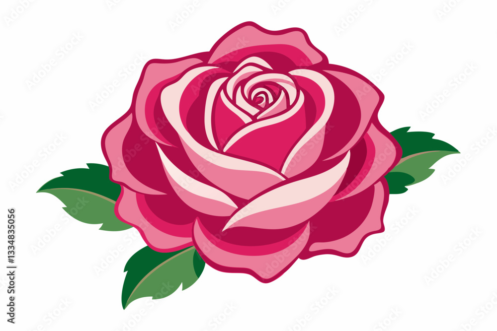 pink rose vector illustration pink rose vector illustration