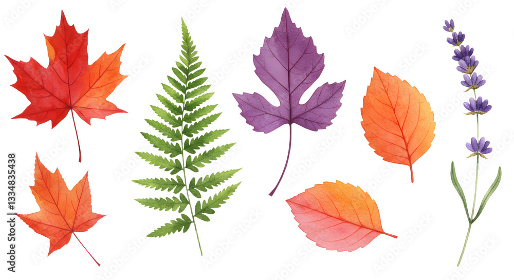 Naklejka premium Watercolor Botanical Collection: Diverse Leaf and Floral Elements Illustration