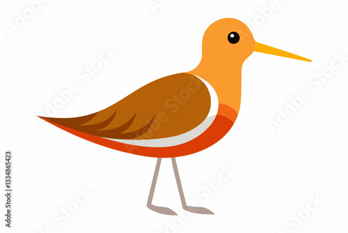 Dunlin Bird Creative Vector Design