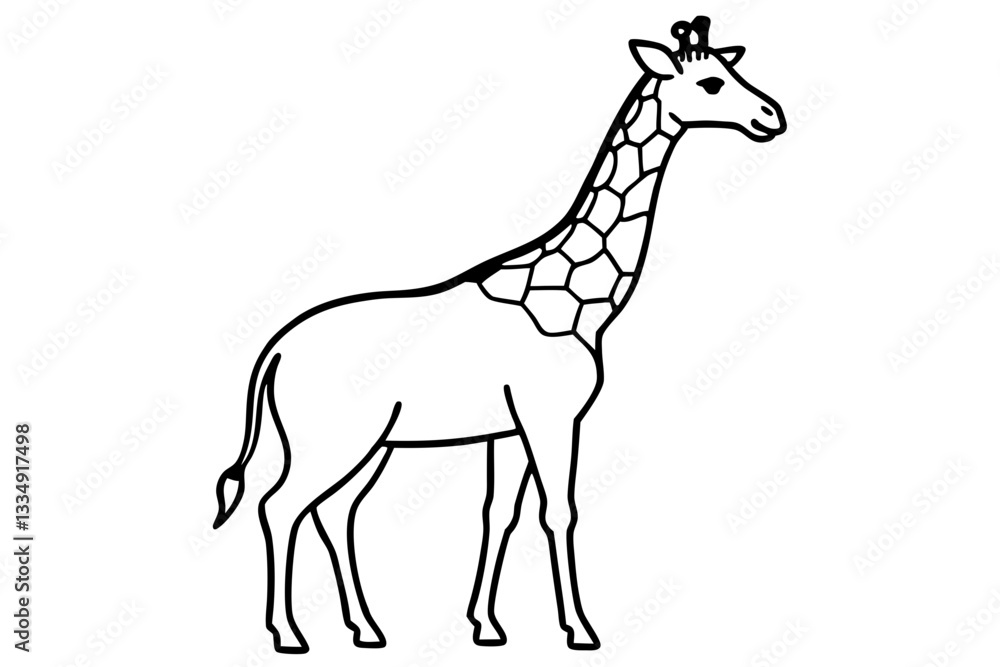 Fototapeta premium Abstract Giraffe Vector