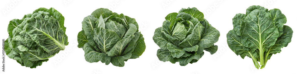 A series of fresh, green cabbage heads showcasing their natural texture and leafy structure. A series of fresh, green cabbage heads showcasing their natural texture and leafy structure.