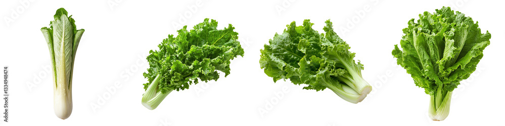 Fresh, vibrant lettuce varieties arranged in a row, showcasing their green leaves and diverse shapes. Fresh, vibrant lettuce varieties arranged in a row, showcasing their green leaves and diverse shapes.