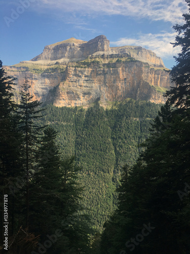Tirryed Trails Through Canyon Heights