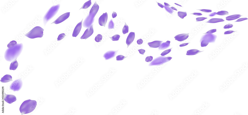 Fototapeta premium Realistic rose petal in motion flying wind vector illustration. Perfume aroma and spa