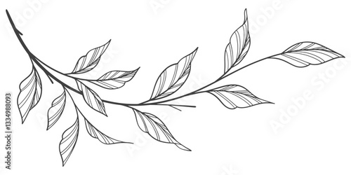 Line art vector illustration of a branch with leaves vector eps