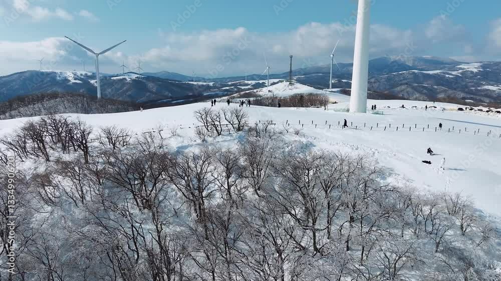강원도 평창 대관령 삼양목장 겨울 풍경