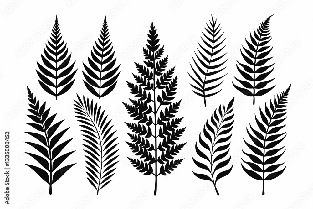 Obraz premium fern leaf icon set line art silhouette vector illustration