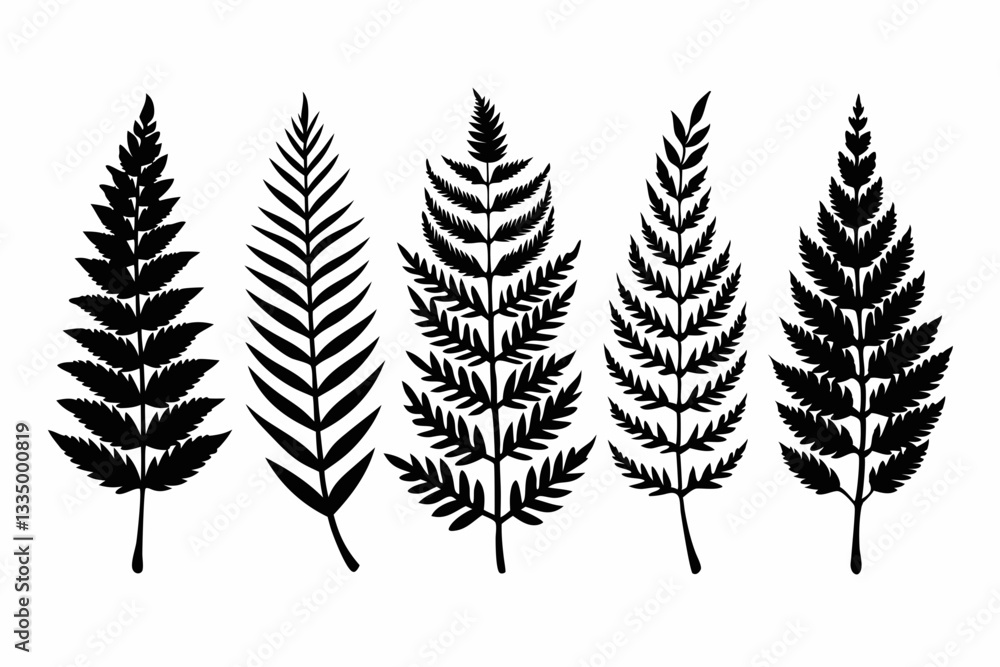 fern leaf icon set line art silhouette vector illustration fern leaf icon set line art silhouette vector illustration