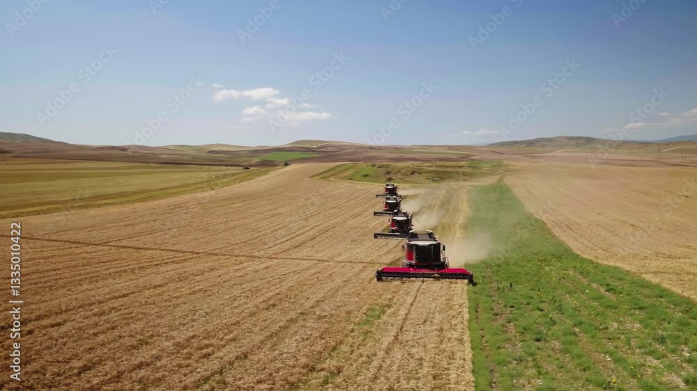 Combines in the field. Aerial view of harvesters. Season of gathering crops. Rye and barley.Harvesting machine working in the field. Top view from the drone Combine harvester agricultural machine Combines in the field. Aerial view of harvesters. Season of gathering crops. Rye and barley.Harvesting machine working in the field. Top view from the drone Combine harvester agricultural machine