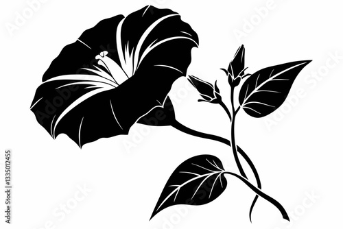 morning glory flower line art silhouette vector illustration