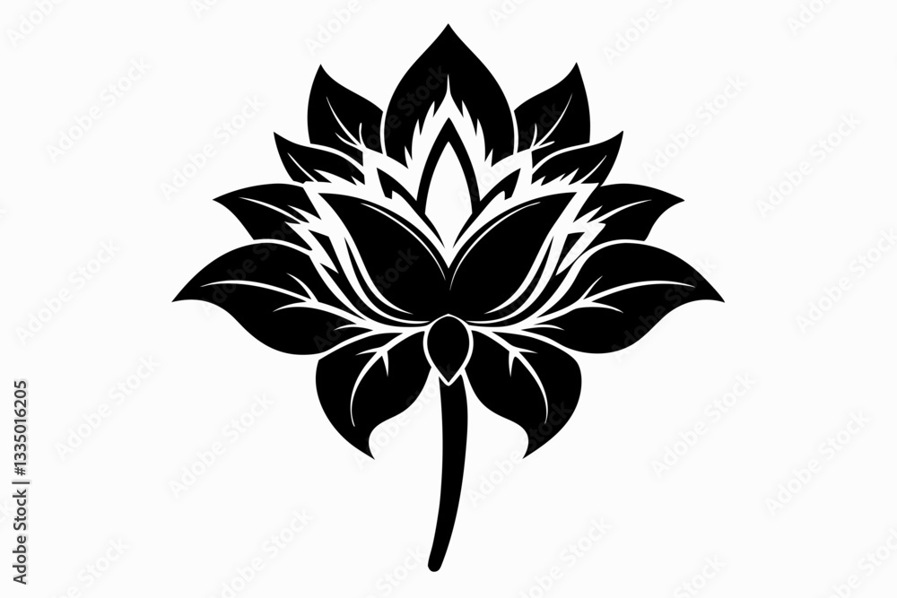 Obraz premium zephyrettes flower line art silhouette vector illustration