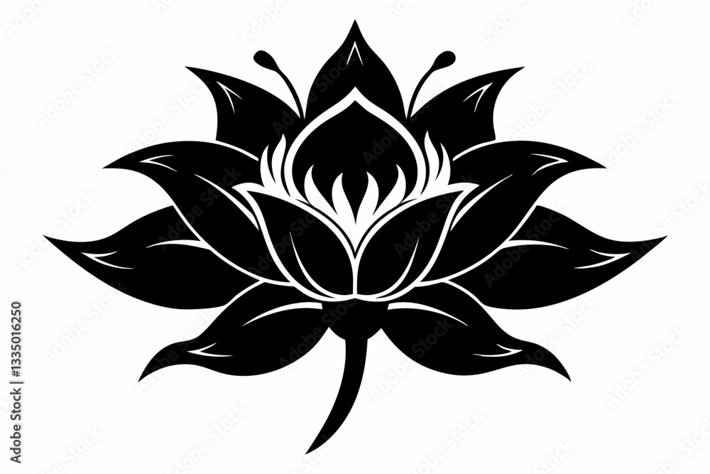 Obraz premium zephyrettes flower line art silhouette vector illustration