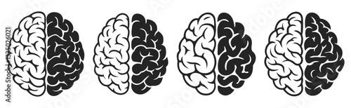 Brain and cerebral icon, medical icon