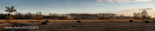Latvia flat panorama landscape in early spring. Meadow field with hay bales, Hunting tower near lonely pine tree, forest ahead and blue clear sky.