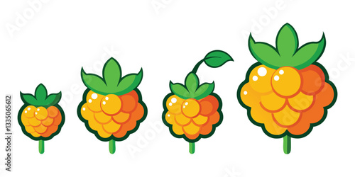 Cartoon Golden Raspberry Growth Stages Vector Illustration: Cute Fruit Development, Agriculture Concept, Food Icon, Plant Life Cycle